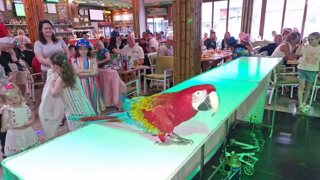 A scarlet macaw stands on an illuminated runway inside Tropical Bar, with families and children watching in the background.