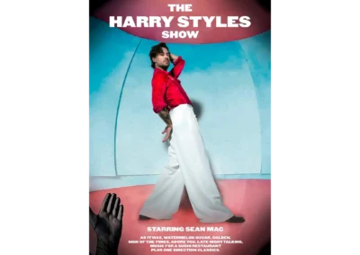 The Harry Styles Show